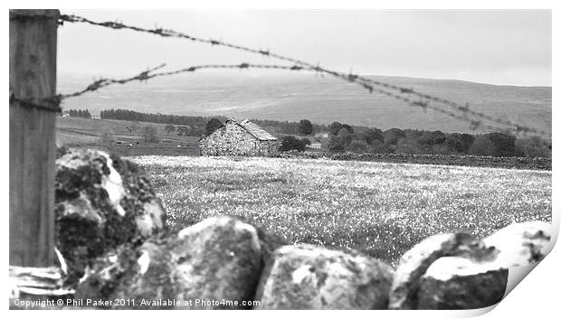 Desolate Barn Print by Phil Parker
