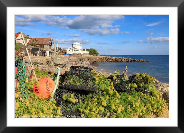 Lobster pots at Steephill Cove  Framed Mounted Print by Andrew Ray
