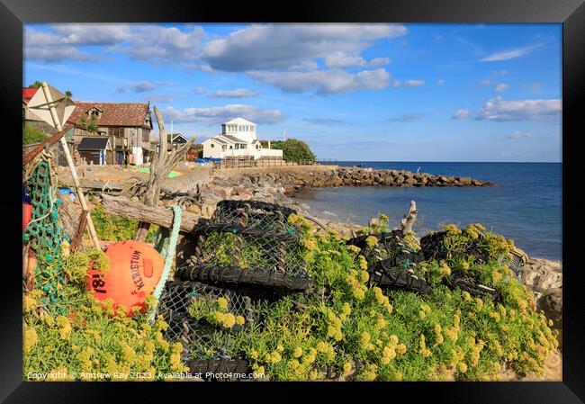 Lobster pots at Steephill Cove  Framed Print by Andrew Ray