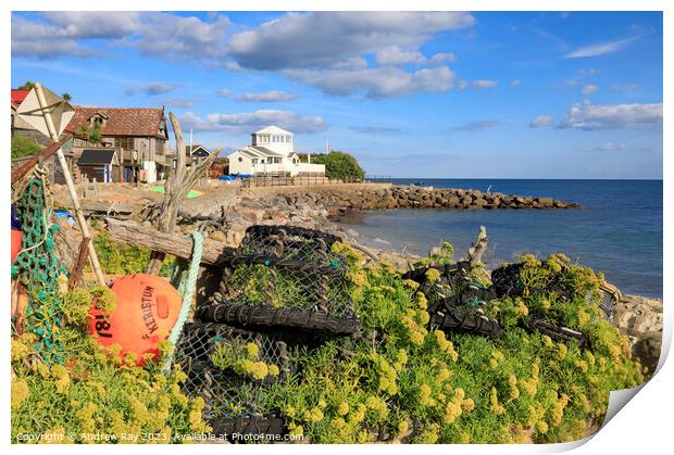 Lobster pots at Steephill Cove  Print by Andrew Ray