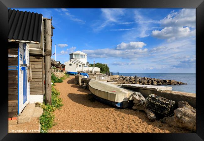 Steephill Cove Framed Print by Andrew Ray