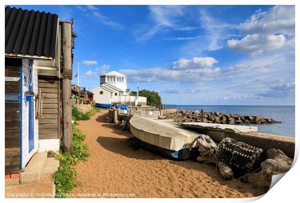 Steephill Cove Print by Andrew Ray