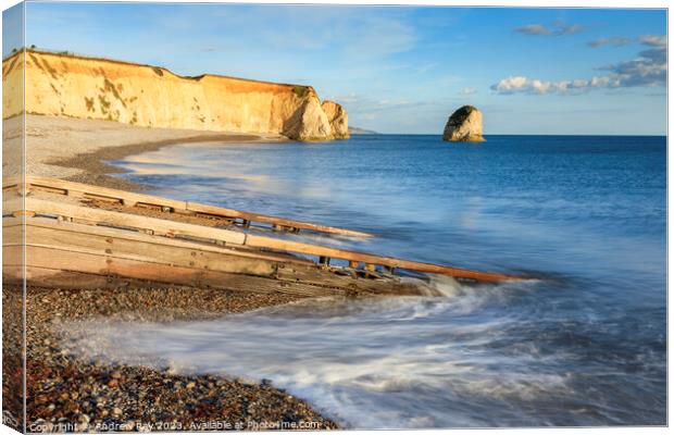 Slipway at Freshwater Bay  Canvas Print by Andrew Ray