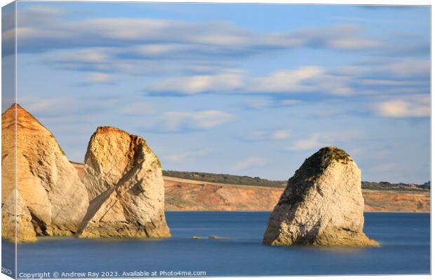 Sea stacks at Freshwater Bay  Canvas Print by Andrew Ray