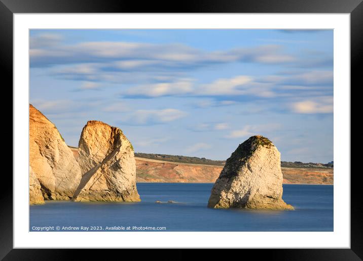 Sea stacks at Freshwater Bay  Framed Mounted Print by Andrew Ray