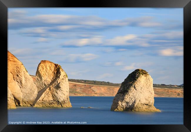 Sea stacks at Freshwater Bay  Framed Print by Andrew Ray