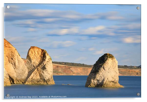 Sea stacks at Freshwater Bay  Acrylic by Andrew Ray