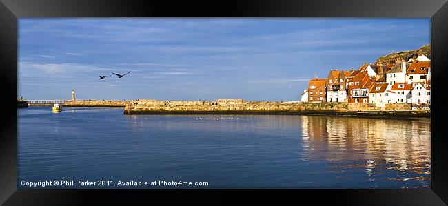 Whitby Harbour Sunlit Framed Print by Phil Parker
