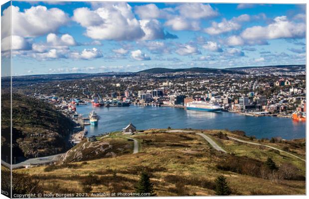 St. Johns: A Canvas of Urban Charm and Nature's Sp Canvas Print by Holly Burgess