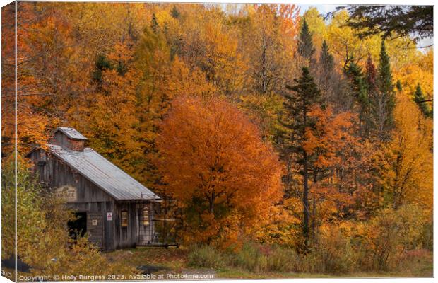 Autumn's Palette: Quebec's Vibrant Falls Canvas Print by Holly Burgess