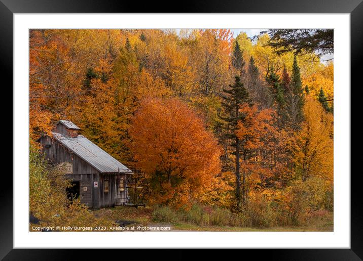 Autumn's Palette: Quebec's Vibrant Falls Framed Mounted Print by Holly Burgess