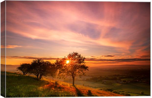 Kithurst Hill Sunset Canvas Print by Alan Humphries
