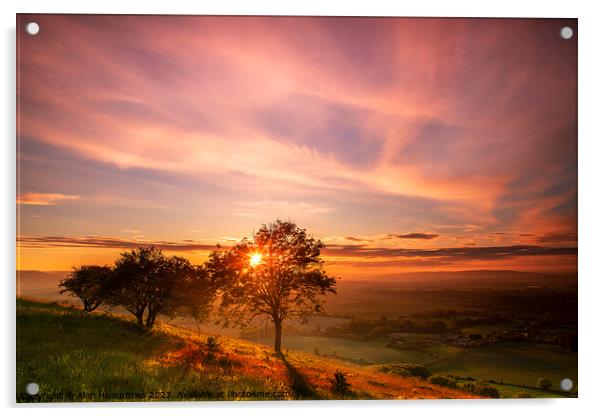 Kithurst Hill Sunset Acrylic by Alan Humphries