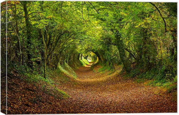 Halnaker Tunnel South Downs Canvas Print by Alan Humphries