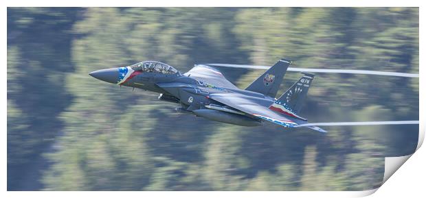 F15 Strike Eagle Liberty Special Print by Rory Trappe