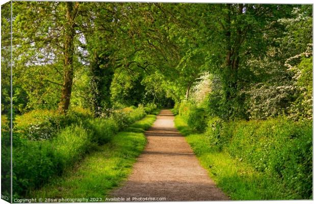 The Spring Time Avenue. Canvas Print by 28sw photography