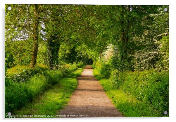 The Spring Time Avenue. Acrylic by 28sw photography