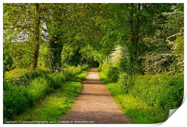 The Spring Time Avenue. Print by 28sw photography