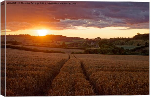Circuit of Bath walking route at sunset Canvas Print by Duncan Savidge