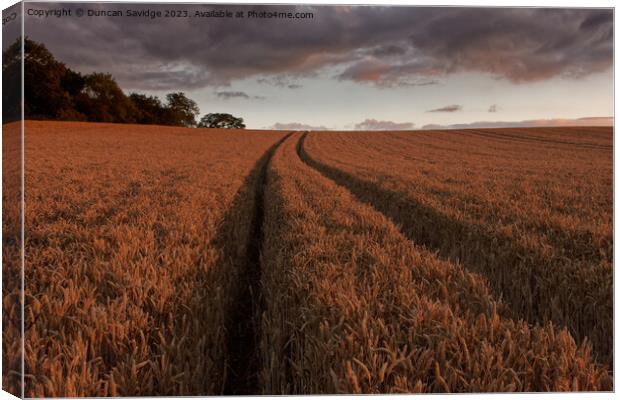 Leading lines on a wheat field  Canvas Print by Duncan Savidge