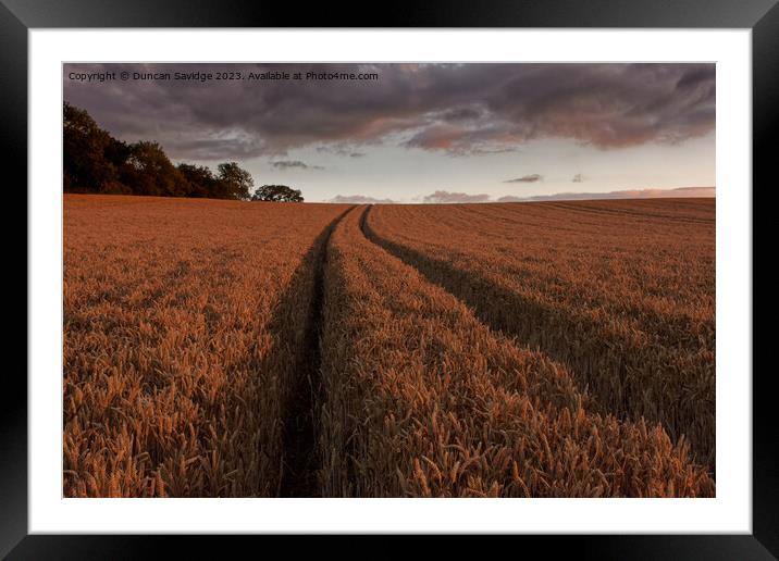 Leading lines on a wheat field  Framed Mounted Print by Duncan Savidge
