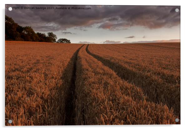 Leading lines on a wheat field  Acrylic by Duncan Savidge