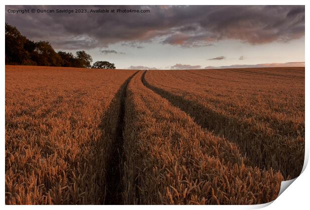 Leading lines on a wheat field  Print by Duncan Savidge