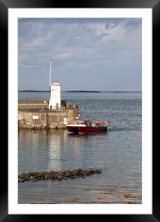 Home at the end oh the day to Seahouses Harbour  Framed Mounted Print by Tony lopez