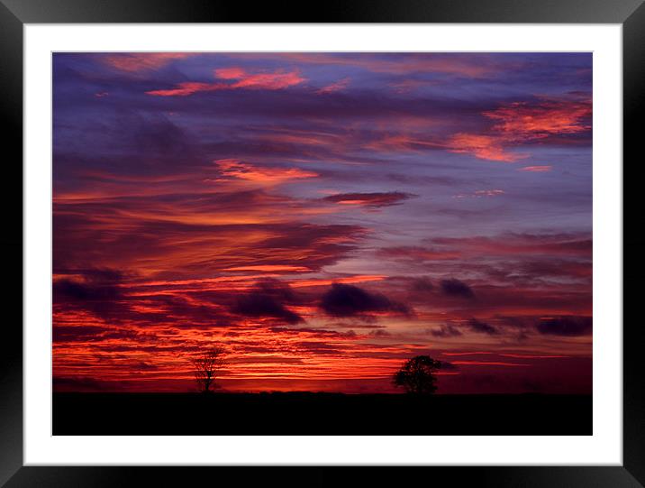 Autumn sunset Framed Mounted Print by Nicky Vines