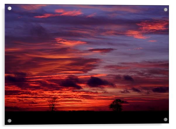 Autumn sunset Acrylic by Nicky Vines