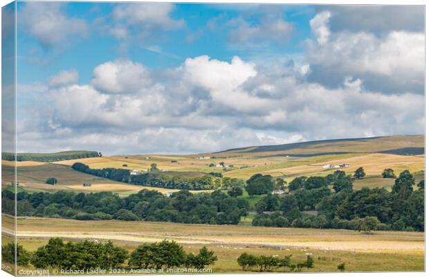 Summer Morning in Ettersgill from Holwick, Teesdale Canvas Print by Richard Laidler