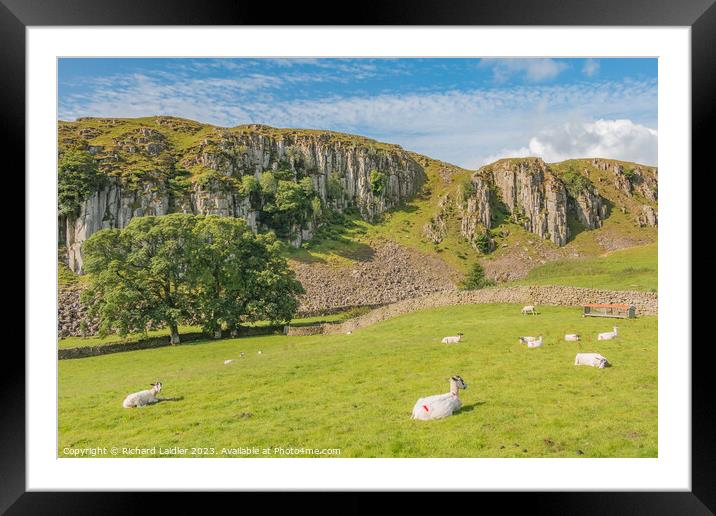 Summer Morning at Holwick Scar, Teesdale Framed Mounted Print by Richard Laidler