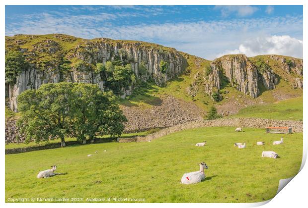 Summer Morning at Holwick Scar, Teesdale Print by Richard Laidler