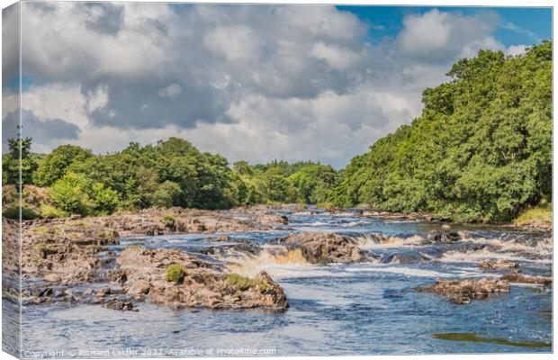 Summer Morning on the River Tees near Bowlees Canvas Print by Richard Laidler