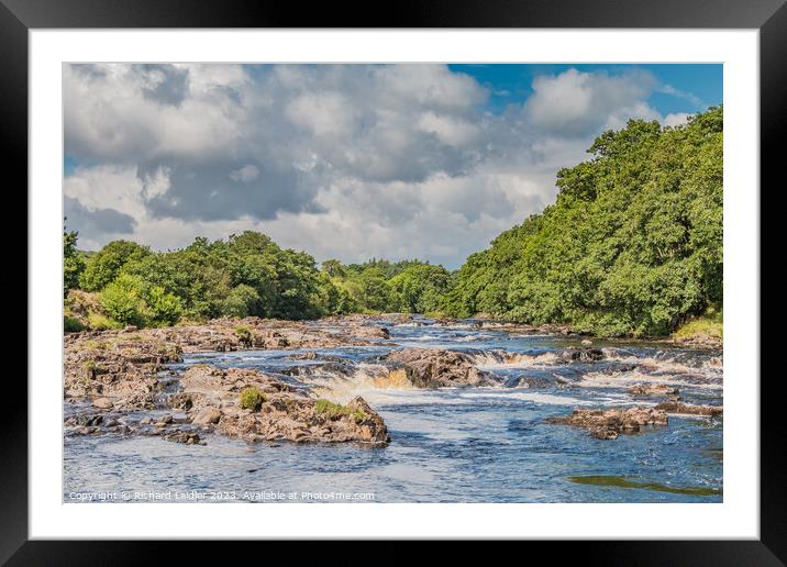 Summer Morning on the River Tees near Bowlees Framed Mounted Print by Richard Laidler