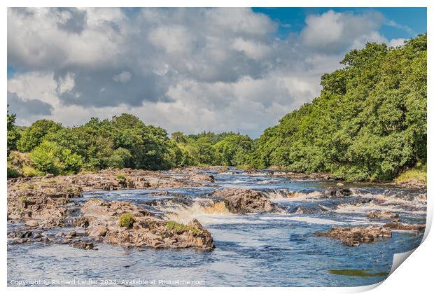 Summer Morning on the River Tees near Bowlees Print by Richard Laidler