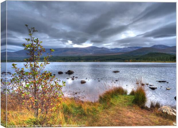 Loch Morlich & Cairngorm Mountains Scottish Highlands Canvas Print by OBT imaging
