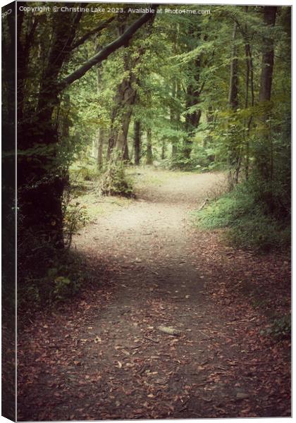 A Walk In Tranquility Canvas Print by Christine Lake