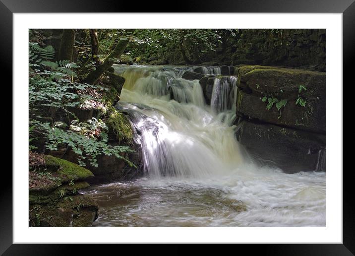 Waterfall at Healey Dell, Lancashire. Framed Mounted Print by David Birchall