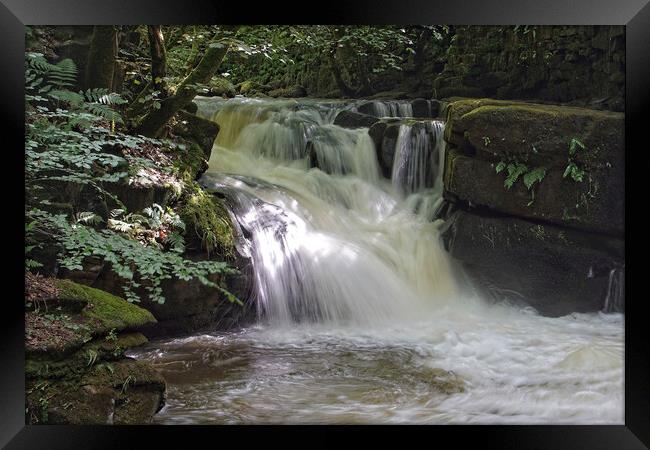 Waterfall at Healey Dell, Lancashire. Framed Print by David Birchall