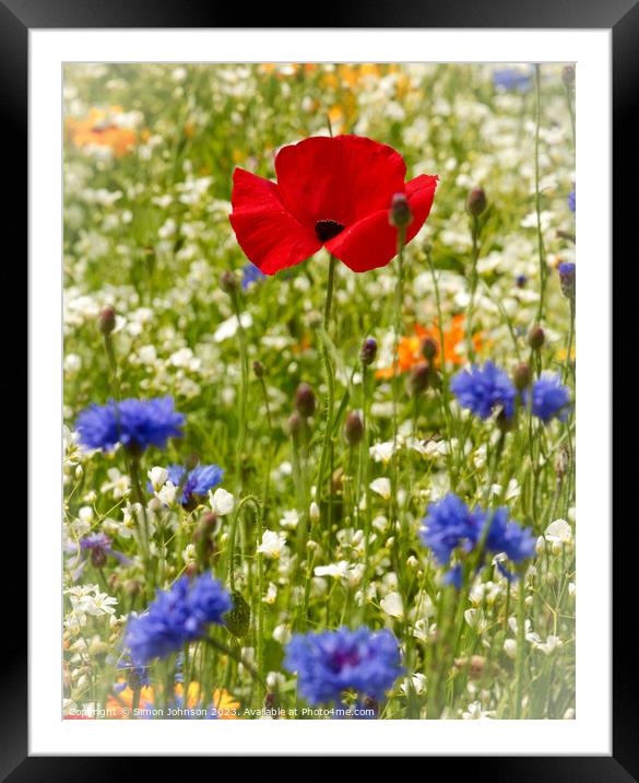 Poppy flower Framed Mounted Print by Simon Johnson