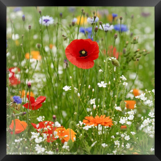 wild  flowers Framed Print by Simon Johnson