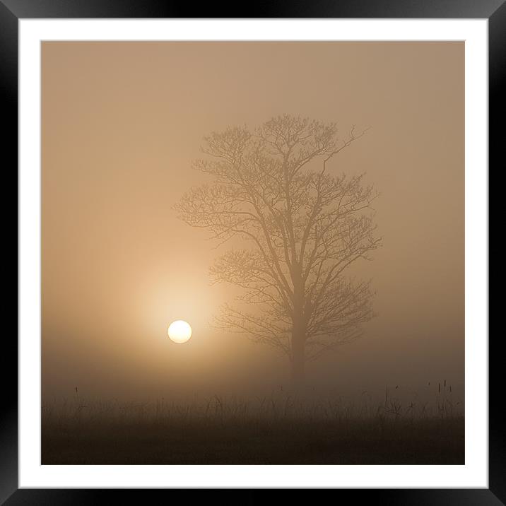 Sunrise over Wramplingham, Norfolk Framed Mounted Print by Dave Turner