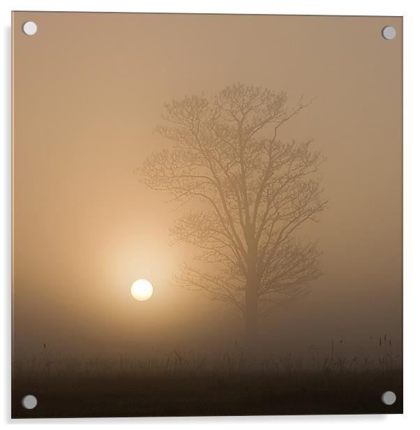 Sunrise over Wramplingham, Norfolk Acrylic by Dave Turner