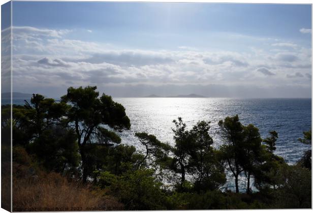 Sea view with pines, Alonissos Canvas Print by Paul Boizot