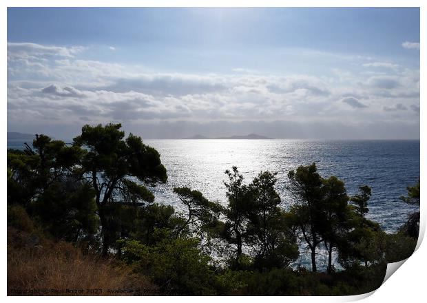 Sea view with pines, Alonissos Print by Paul Boizot
