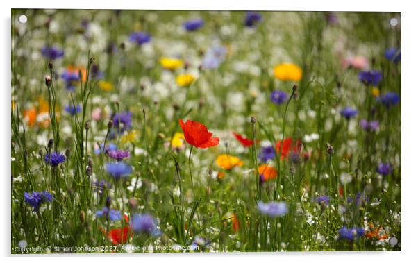 wild flower field Acrylic by Simon Johnson