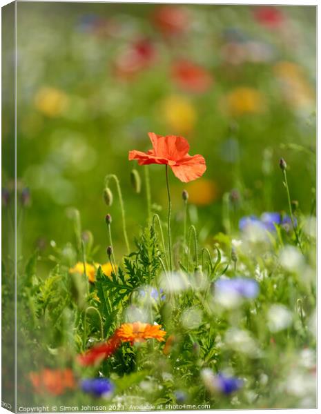 Poppy  flower Canvas Print by Simon Johnson