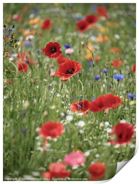 wild flower meadow Print by Simon Johnson