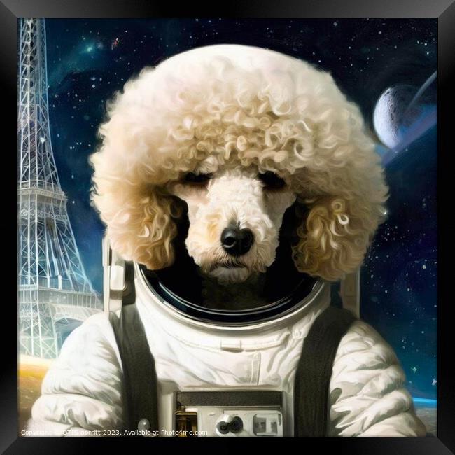 POODLE ASTRONAUT 4 Framed Print by OTIS PORRITT